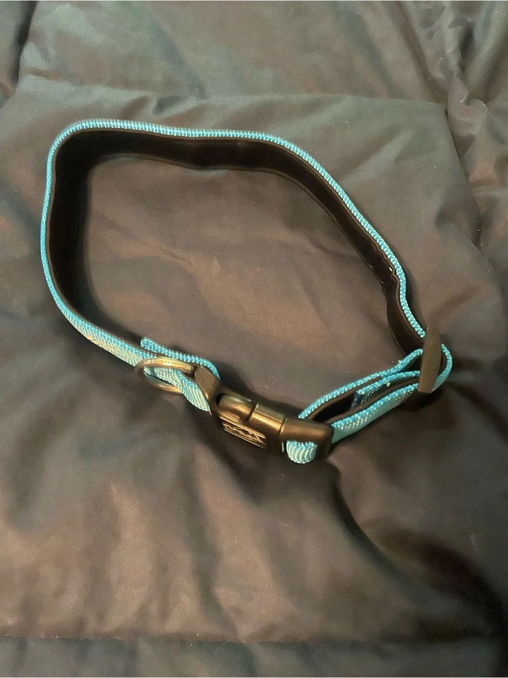 Teal Dog Collar with Wave Logo